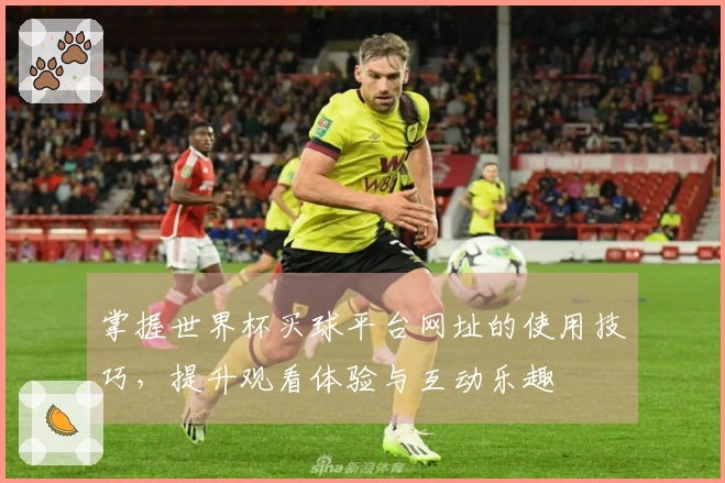 掌握世界杯买球平台网址的使用技巧，提升观看体验与互动乐趣