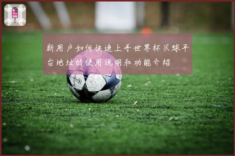 新用户如何快速上手世界杯买球平台地址的使用说明和功能介绍