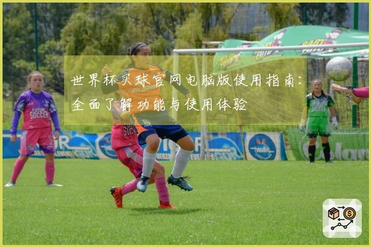 世界杯买球官网电脑版使用指南:全面了解功能与使用体验