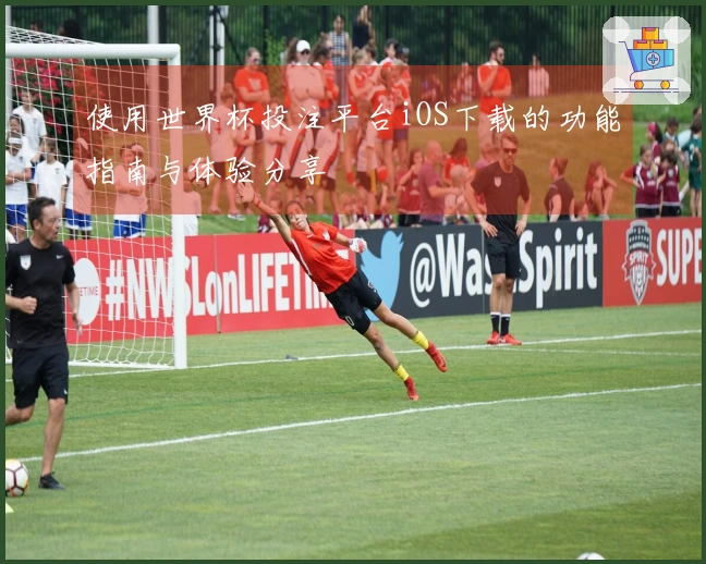 使用世界杯投注平台iOS下载的功能指南与体验分享