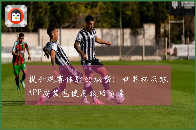 提升观赛体验的秘密：世界杯买球APP安装包使用技巧分享