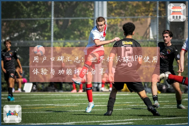 用户口碑汇总：世界杯买球APP使用体验与功能评测分享