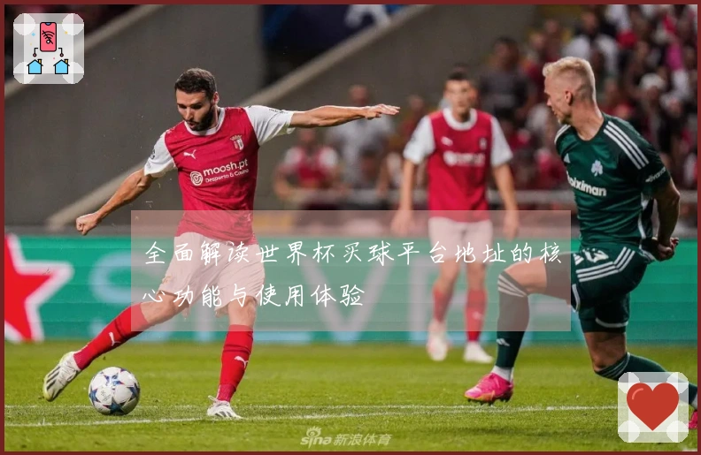 全面解读世界杯买球平台地址的核心功能与使用体验