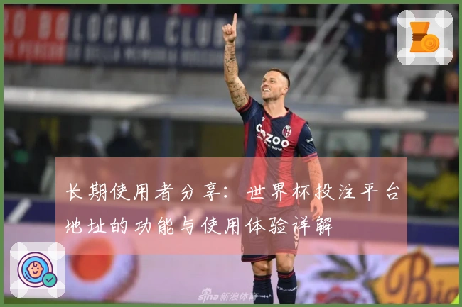 长期使用者分享:世界杯投注平台地址的功能与使用体验详解