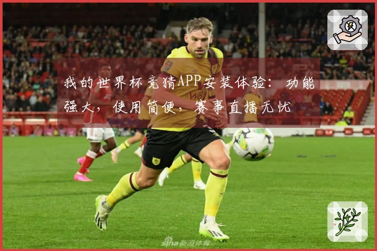 我的世界杯竞猜APP安装体验：功能强大，使用简便，赛事直播无忧