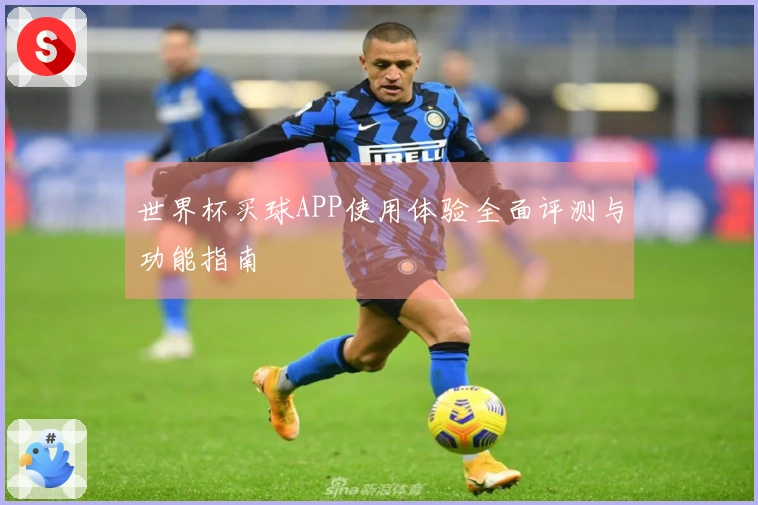 世界杯买球APP使用体验全面评测与功能指南
