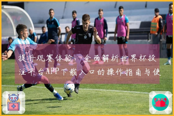 提升观赛体验，全面解析世界杯投注平台APP下载入口的操作指南与使用技巧