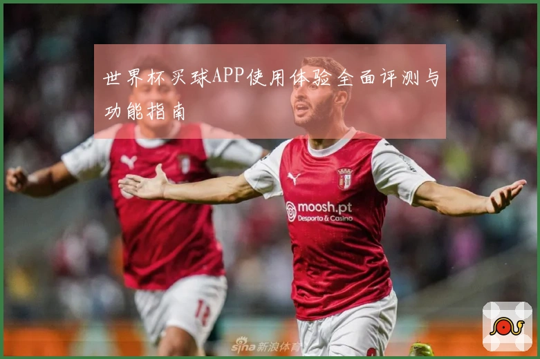 世界杯买球APP使用体验全面评测与功能指南
