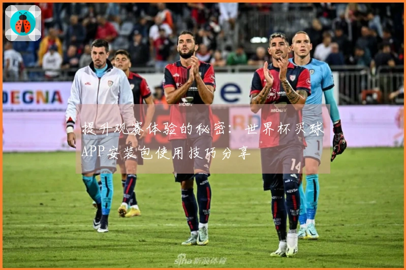 提升观赛体验的秘密：世界杯买球APP安装包使用技巧分享