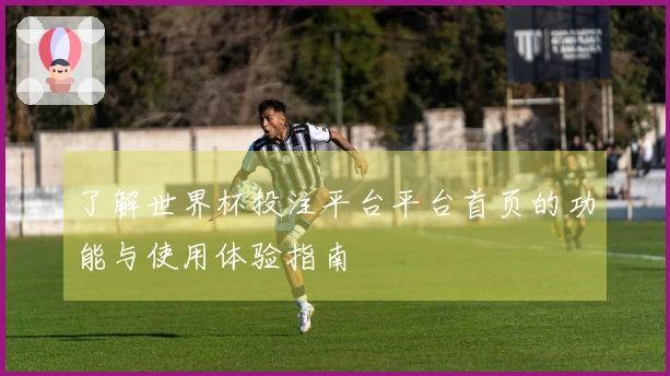 了解世界杯投注平台平台首页的功能与使用体验指南