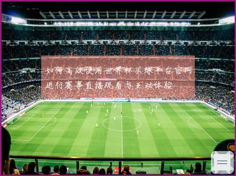 如何高效使用世界杯买球平台官网进行赛事直播观看与互动体验