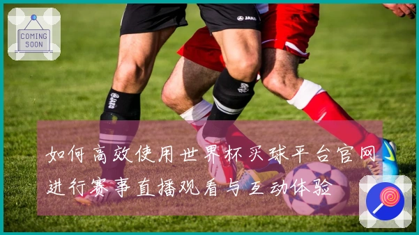 如何高效使用世界杯买球平台官网进行赛事直播观看与互动体验