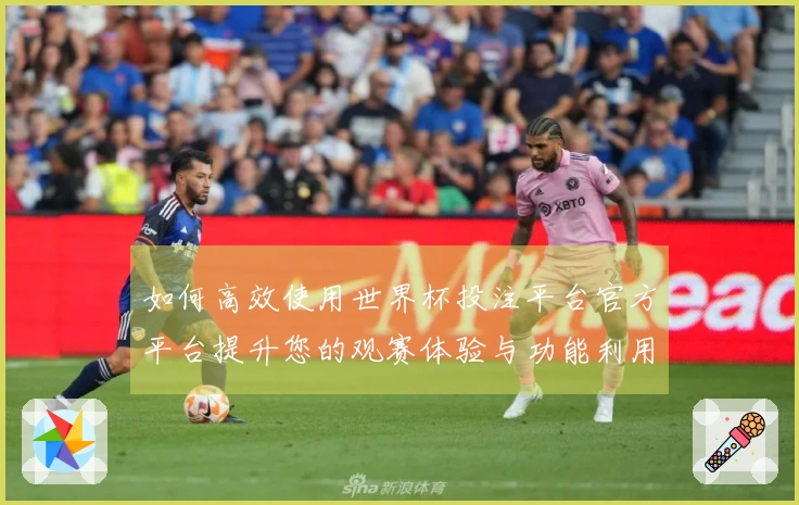 如何高效使用世界杯投注平台官方平台提升您的观赛体验与功能利用率
