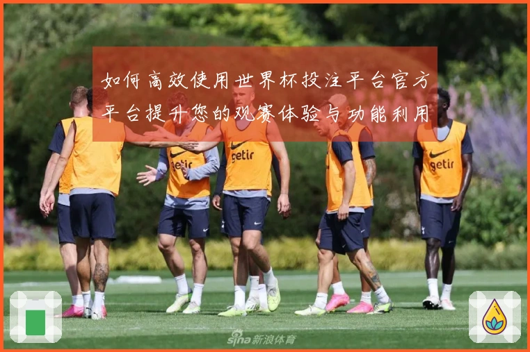 如何高效使用世界杯投注平台官方平台提升您的观赛体验与功能利用率